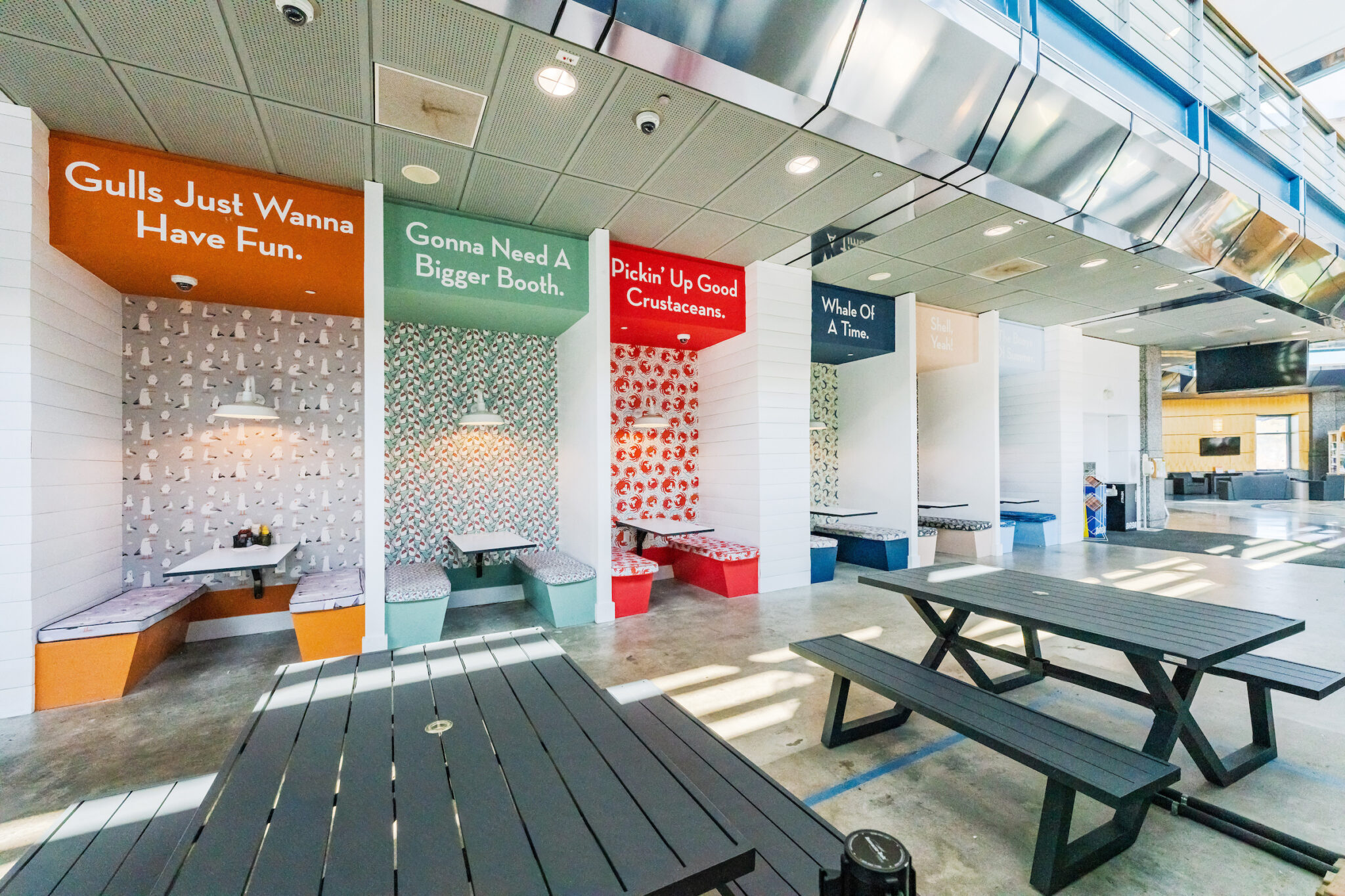 stowaways-in-cape-may-cape-may-lewes-ferry