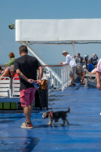 Passengers onboard the Cape May - Lewes Ferry enjoy the sun, wind and views on the outside decks as the Ferry sails across Delaware Bay.