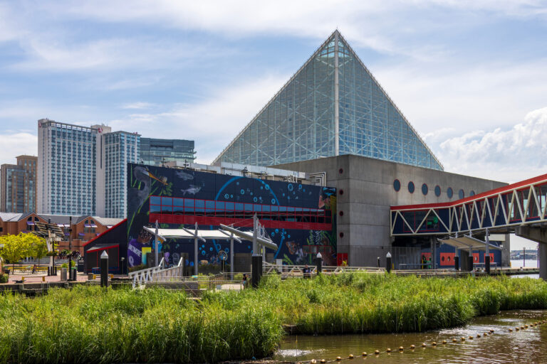 The National Aquarium at Inner Harbor in Baltimore has outstanding educational exhibits and a tropical rainforest upstairs
