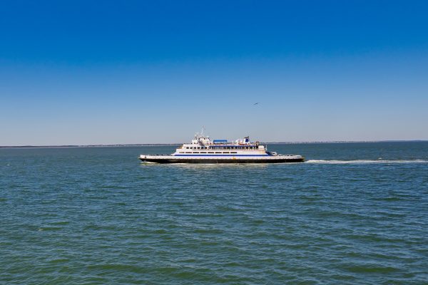 The Cape May - Lewes Ferry sails on Delaware Bay with a bird seen flying in the distance.